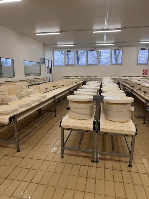 Le forme di formaggio nelle fasi di lavorazione.