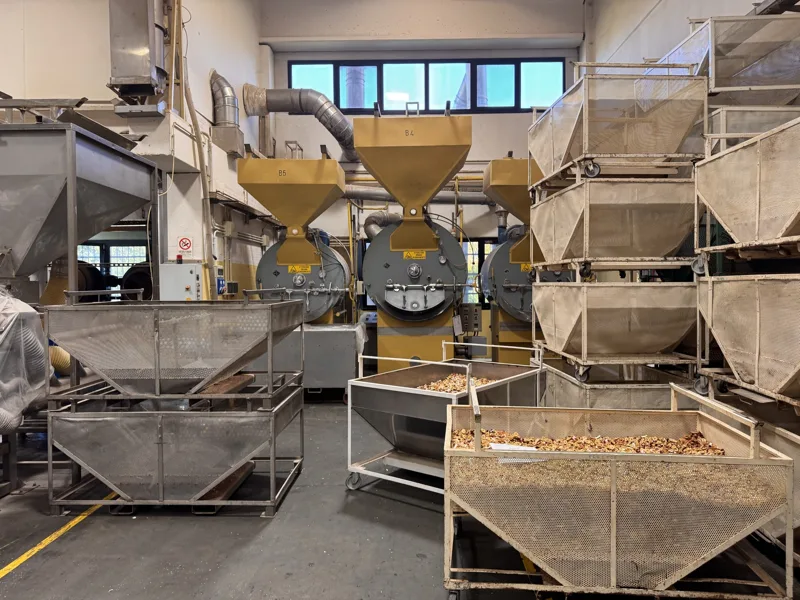 Impianti e tramogge per la lavorazione della frutta secca.